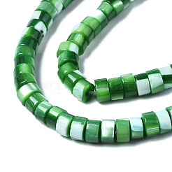 Нити бусин из натуральной ракушки трохус SHEL-S278-027C