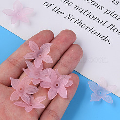 Прозрачные акриловые бусины MACR-S373-127-D03