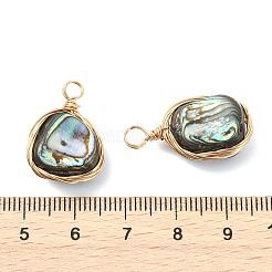 Natürliche Abalone Muschel / Paua Muschel Anhänger&nbsp;PALLOY-JF05278