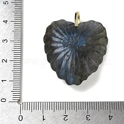 Natürliche geschnitzte Labradorit-Anhänger&nbsp;G-C276-01G-10