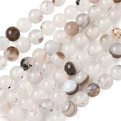 Нити из натурального дендритного агата G-C011-6mm-01