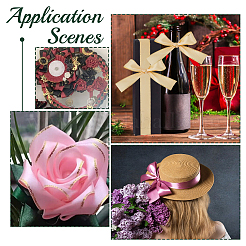 Полиэфирная лента DIY-WH0010-77B