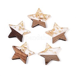 Подвески из смолы и ореха RESI-T057-38M