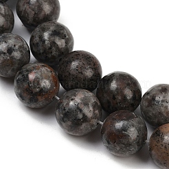 Натуральные нити бус из ларвикита G-F792-C03-03