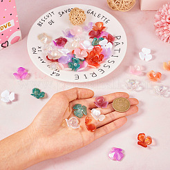 60шт 10 цвета непрозрачных акриловых колпачков для бусин&nbsp;OACR-TA0002-61