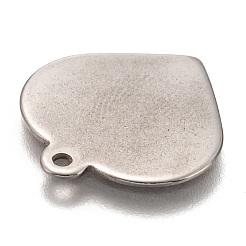 Подвески из нержавеющей стали 201 STAS-I172-15P