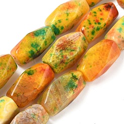 Окрашенные естественный агат бисер пряди G-I394-C14