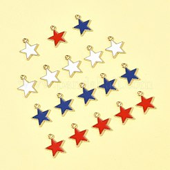 20шт 3 цвета сплава эмалевые подвески&nbsp;ENAM-FS0003-53