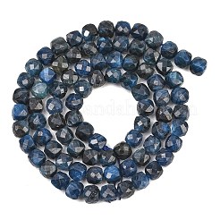 Natürliche kyanit / cyanit / disthen perlen stränge&nbsp;G-B193-A01-01