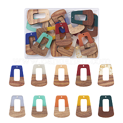 20шт 10 цвета подвески из смолы и ореха RESI-BT0001-15