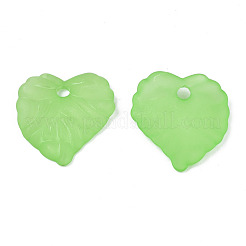 Прозрачные акриловые подвески&nbsp;TACR-S157-01B