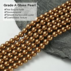 Экологичные стеклянные жемчужные бусины&nbsp;HY-A008-8mm-RB090