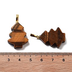 Pendentifs en œil de tigre naturel&nbsp;G-A203-01G