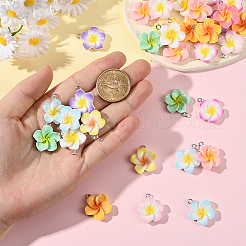 40шт 10 стиля непрозрачные подвески из смолы&nbsp;FIND-SC0019-47