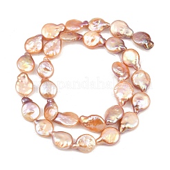 Hilos de cuentas de monedas de perlas keshi barrocas naturales&nbsp;PA-CBAFEE8-15D