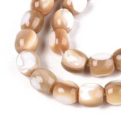 Нити бусин из натуральных трохоидных/трохус ракушек SSHEL-N040-14