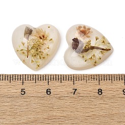 Transparente Harzcabochons&nbsp;RESI-K033-12A