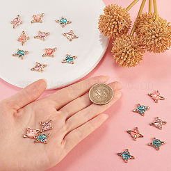 Разъемы из эмали из цинкового сплава&nbsp;ENAM-CJ0001-19