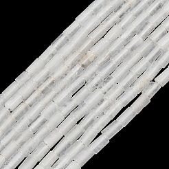 Бусины из натурального белого нефрита&nbsp;G-P600-B07-01C