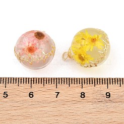 真鍮製の樹脂ペンダント  ラウンドチャーム  ドライフラワーと  ミックスカラー  21.5x16.5x15.5mm  穴：2.5mm&nbsp;RE-CBA591C-04G