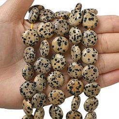 Природные яшмы далматин бисер нитей&nbsp;G-L648-B19-15mm