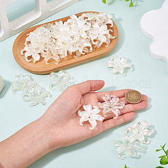40 pièce de 2 styles de capuchons de perles en plastique&nbsp;KY-TA0001-67