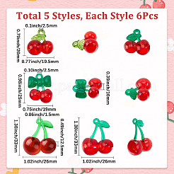 30 шт. 5 стиля подвески из прозрачного акрила и смолы&nbsp;OHAR-SC0001-15