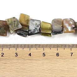 Окрашенные нити бусин из натуральных пресноводных ракушек SHEL-P016-01H