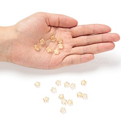 Спрей окрашены прозрачные стеклянные бусины GLAA-FS0001-01B