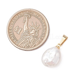 Подвески из натурального жемчуга кеши с застежками-карабинами из нержавеющей стали 304.&nbsp;PALLOY-JF05102