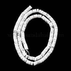 Природные Говлит бисер нитей G-RM241221-P1