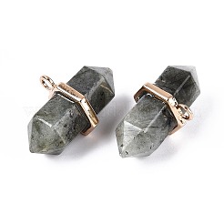 Двойные заостренные подвески из натурального лабрадорита&nbsp;G-N345-09H