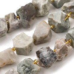 Необработанные грубые натуральные нити нефрита мира G-Z087-B19