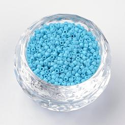 Perline di semi di cilindro di vernice da forno&nbsp;SEED-R041-09