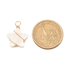 Природные подвески оболочки пресноводных&nbsp;LS-X-PALLOY-JF01038