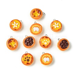 30шт 6 стиля непрозрачные подвески из смолы&nbsp;RESI-CJ0004-68