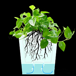 自己吸収性の綿ロープ  水耕栽培植木鉢用  DIY 自動散水点滴灌漑給水器  ホワイト  6mm  約54.68ヤード（50m）/バンドル&nbsp;OCOR-WH0032-74