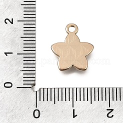Legierung mit Emaille-Anhängern&nbsp;ENAM-G235-12G-05