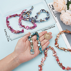 5 нить 5 цвета окрашенных натуральных пресноводных ракушек нити&nbsp;SHEL-BBC0001-13