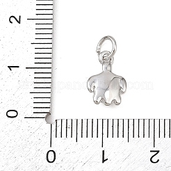 Латунные подвески&nbsp;KK-P339-05P