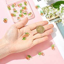 20 шт. 2-х цветные стеклянные и акриловые подвески&nbsp;PALLOY-FS00051