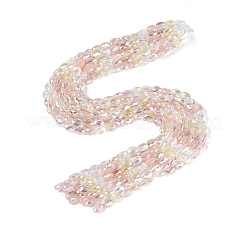 Stränge aus galvanisierter Jade-Imitation und undurchsichtigen sowie transparenten Glasperlen&nbsp;EGLA-Q135-6x8MM-01D