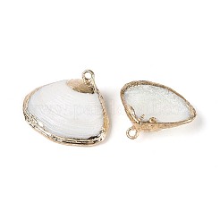 Подвески из натуральных морских ракушек&nbsp;SSHEL-N042-02