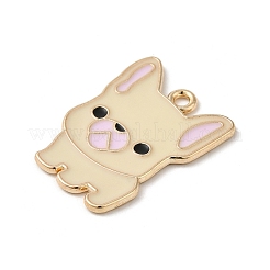 Подвески из сплава&nbsp;ENAM-Z008-01F-KCG