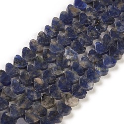 Chapelets de perles en sodalite naturelle, cœur, 7~7.5mm, Trou: 0.6mm, Environ 62 pcs/chapelet, 14.80''~15'' (37.6~38.1 cm)