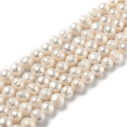 Fili di perle di perle d'acqua dolce coltivate naturali, patata, bisque, 7~10.5mm, Foro: 0.6 mm, circa 42pcs/filo, 14.02 pollice (35.6 cm)