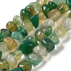 Chapelets de perles d'agate naturelle, teints et chauffée, pépites, pierre roulée, verte, 6.5~13x10~13x1.5~11mm, Trou: 1.6mm, Environ 22 pcs/chapelet, 7.20~7.72'' (18.3~19.6 cm)