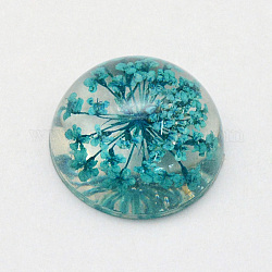 Resin Cabochons, Dome, Half Round, with Dried Flower inside, Dark Cyan, 15.5~16x7.5~8.5mm