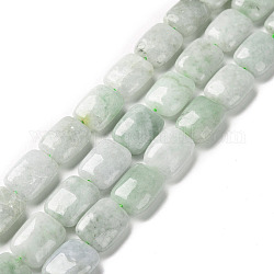 Natürliche myanmarische Jade / burmesische Jade-Perlenstränge, Rechteck, 14.5x10.5x6 mm, Bohrung: 1 mm, ca. 28 Stk. / Strang, 16.14 Zoll (41 cm)