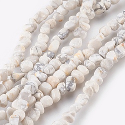 Copeaux de howlite perles naturelles brins, environ 3~5 mm, Trou: 0.8mm, 15.5 pouce, Environ 82 pcs/chapelet